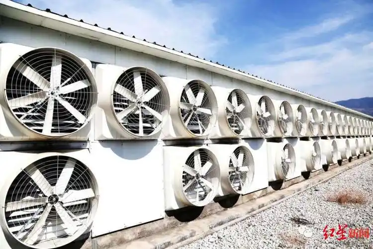 A large-scale mining farm showcasing the infrastructure needed to support numerous ASIC miners