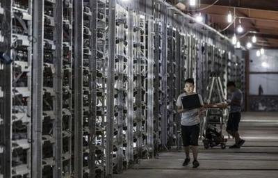 A large-scale mining farm housing hundreds of GPU rigs mining various cryptocurrencies