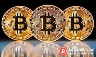 A collection of different mining rigs suited for various cryptocurrency mining