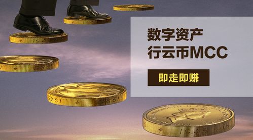 A high-density array of ASIC miners, representing the hardware investment in cryptocurrency mining.